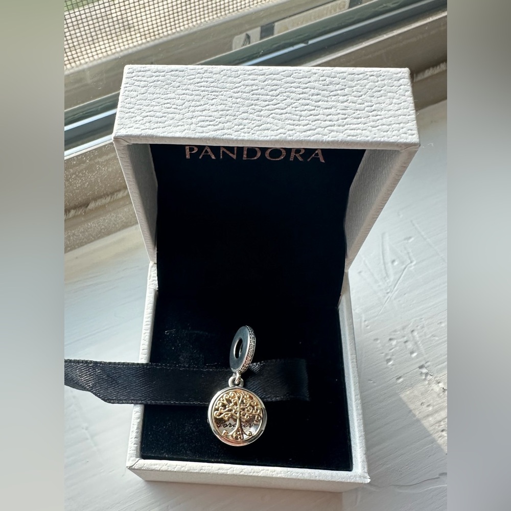 Pandora charm family roots